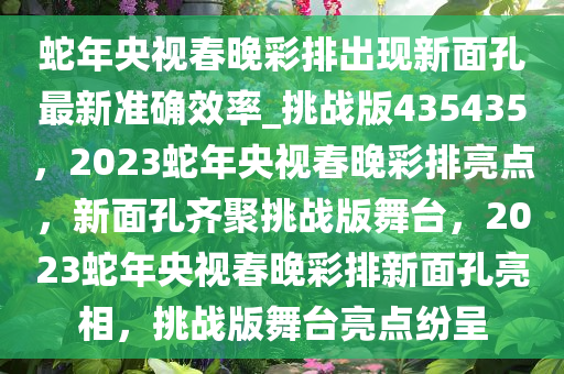 蛇年央视春晚彩排出现新面孔最新准确效率_挑战版435435，2023蛇年央视春晚彩排亮点，新面孔齐聚挑战版舞台，2023蛇年央视春晚彩排新面孔亮相，挑战版舞台亮点纷呈