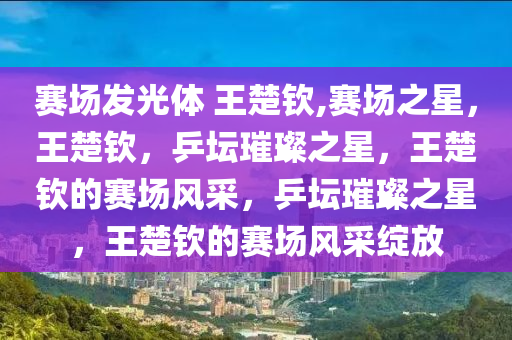 赛场发光体 王楚钦,赛场之星，王楚钦，乒坛璀璨之星，王楚钦的赛场风采，乒坛璀璨之星，王楚钦的赛场风采绽放