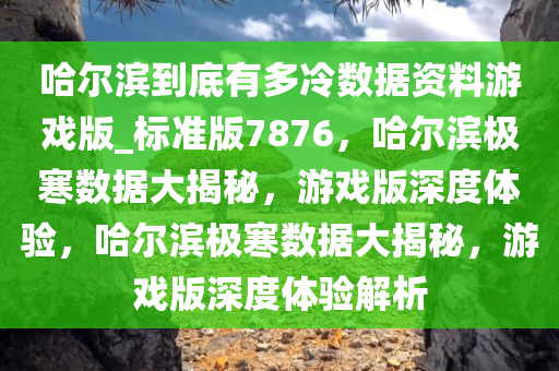 哈尔滨到底有多冷数据资料游戏版_标准版7876，哈尔滨极寒数据大揭秘，游戏版深度体验，哈尔滨极寒数据大揭秘，游戏版深度体验解析