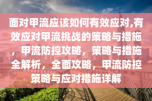 面对甲流应该如何有效应对,有效应对甲流挑战的策略与措施，甲流防控攻略，策略与措施全解析，全面攻略，甲流防控策略与应对措施详解