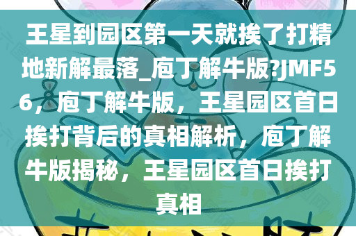 王星到园区第一天就挨了打精地新解最落_庖丁解牛版?JMF56，庖丁解牛版，王星园区首日挨打背后的真相解析，庖丁解牛版揭秘，王星园区首日挨打真相