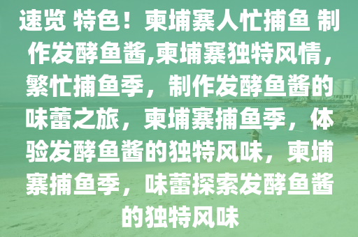 速览 特色！柬埔寨人忙捕鱼 制作发酵鱼酱,柬埔寨独特风情，繁忙捕鱼季，制作发酵鱼酱的味蕾之旅，柬埔寨捕鱼季，体验发酵鱼酱的独特风味，柬埔寨捕鱼季，味蕾探索发酵鱼酱的独特风味