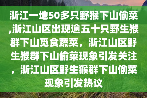 浙江一地50多只野猴下山偷菜,浙江山区出现逾五十只野生猴群下山觅食蔬菜，浙江山区野生猴群下山偷菜现象引发关注，浙江山区野生猴群下山偷菜现象引发热议