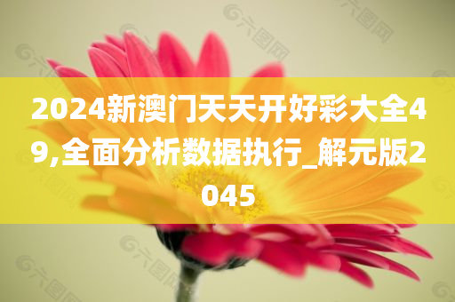 2024新澳门天天开好彩大全49,全面分析数据执行_解元版2045