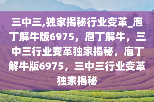 三中三,独家揭秘行业变革_庖丁解牛版6975，庖丁解牛，三中三行业变革独家揭秘，庖丁解牛版6975，三中三行业变革独家揭秘