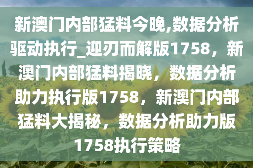 新澳门内部猛料今晚,数据分析驱动执行_迎刃而解版1758，新澳门内部猛料揭晓，数据分析助力执行版1758，新澳门内部猛料大揭秘，数据分析助力版1758执行策略