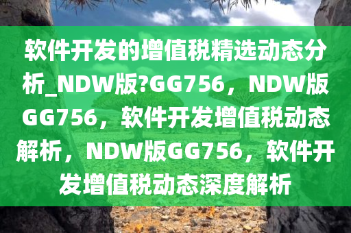 软件开发的增值税精选动态分析_NDW版?GG756，NDW版GG756，软件开发增值税动态解析，NDW版GG756，软件开发增值税动态深度解析