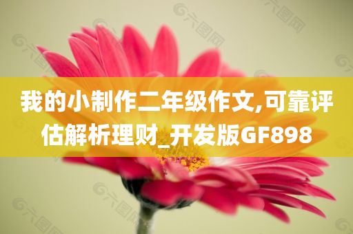 我的小制作二年级作文,可靠评估解析理财_开发版GF898