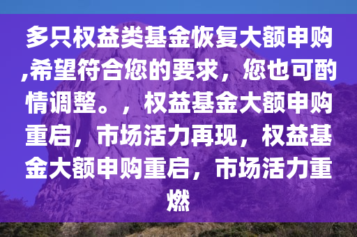 多只权益类基金恢复大额申购,希望符合您的要求，您也可酌情调整。，权益基金大额申购重启，市场活力再现，权益基金大额申购重启，市场活力重燃