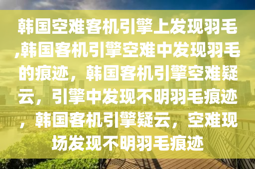 韩国空难客机引擎上发现羽毛,韩国客机引擎空难中发现羽毛的痕迹，韩国客机引擎空难疑云，引擎中发现不明羽毛痕迹，韩国客机引擎疑云，空难现场发现不明羽毛痕迹