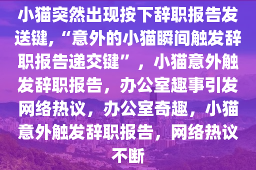 小猫突然出现按下辞职报告发送键,“意外的小猫瞬间触发辞职报告递交键”，小猫意外触发辞职报告，办公室趣事引发网络热议，办公室奇趣，小猫意外触发辞职报告，网络热议不断