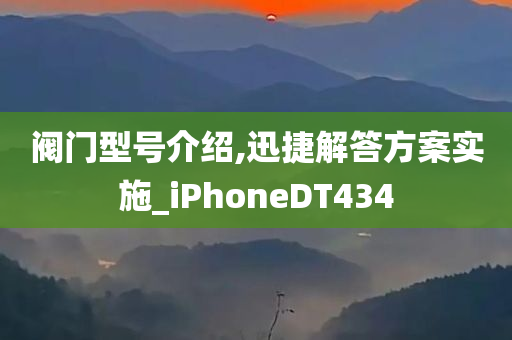 阀门型号介绍,迅捷解答方案实施_iPhoneDT434