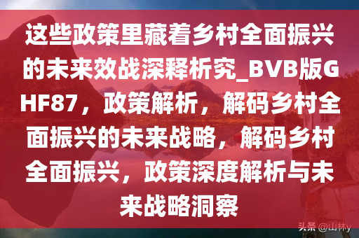 这些政策里藏着乡村全面振兴的未来效战深释析究_BVB版GHF87，政策解析，解码乡村全面振兴的未来战略，解码乡村全面振兴，政策深度解析与未来战略洞察