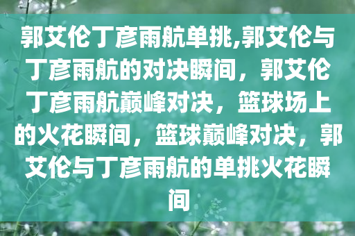 郭艾伦丁彦雨航单挑,郭艾伦与丁彦雨航的对决瞬间，郭艾伦丁彦雨航巅峰对决，篮球场上的火花瞬间，篮球巅峰对决，郭艾伦与丁彦雨航的单挑火花瞬间