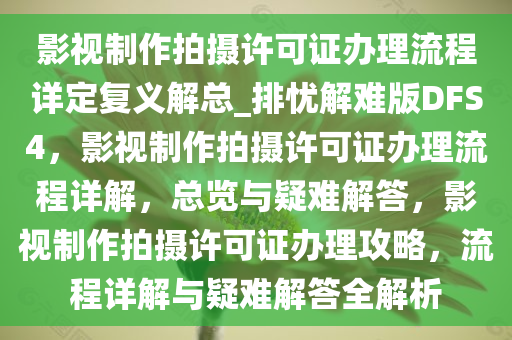 影视制作拍摄许可证办理流程详定复义解总_排忧解难版DFS4，影视制作拍摄许可证办理流程详解，总览与疑难解答，影视制作拍摄许可证办理攻略，流程详解与疑难解答全解析