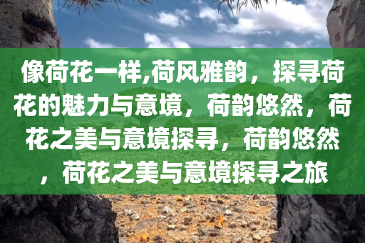 像荷花一样,荷风雅韵，探寻荷花的魅力与意境，荷韵悠然，荷花之美与意境探寻，荷韵悠然，荷花之美与意境探寻之旅