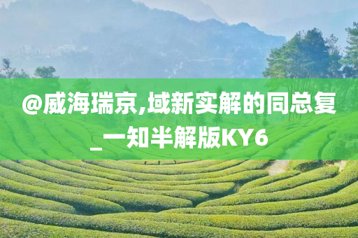 @威海瑞京,域新实解的同总复_一知半解版KY6