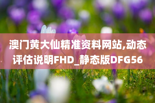 澳门黄大仙精准资料网站,动态评估说明FHD_静态版DFG56