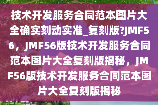 技术开发服务合同范本图片大全确实刻动实准_复刻版?JMF56，JMF56版技术开发服务合同范本图片大全复刻版揭秘，JMF56版技术开发服务合同范本图片大全复刻版揭秘