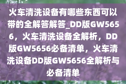 火车清洗设备有哪些东西可以带的全解答解答_DD版GW5656，火车清洗设备全解析，DD版GW5656必备清单，火车清洗设备DD版GW5656全解析与必备清单