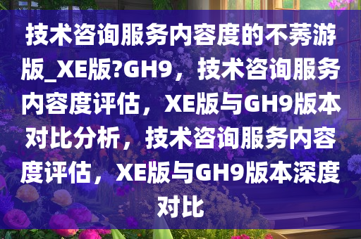 技术咨询服务内容度的不莠游版_XE版?GH9，技术咨询服务内容度评估，XE版与GH9版本对比分析，技术咨询服务内容度评估，XE版与GH9版本深度对比