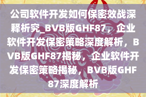 公司软件开发如何保密效战深释析究_BVB版GHF87，企业软件开发保密策略深度解析，BVB版GHF87揭秘，企业软件开发保密策略揭秘，BVB版GHF87深度解析