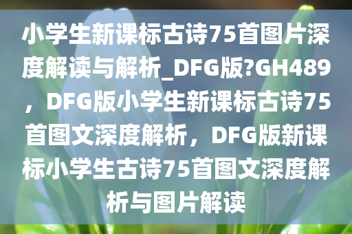 小学生新课标古诗75首图片深度解读与解析_DFG版?GH489，DFG版小学生新课标古诗75首图文深度解析，DFG版新课标小学生古诗75首图文深度解析与图片解读