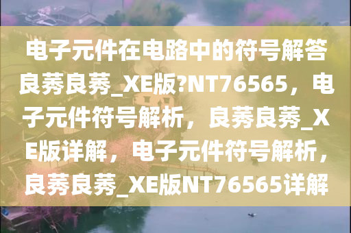 电子元件在电路中的符号解答良莠良莠_XE版?NT76565，电子元件符号解析，良莠良莠_XE版详解，电子元件符号解析，良莠良莠_XE版NT76565详解