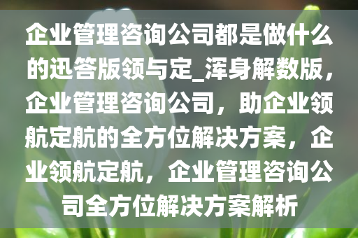 企业管理咨询公司都是做什么的迅答版领与定_浑身解数版，企业管理咨询公司，助企业领航定航的全方位解决方案，企业领航定航，企业管理咨询公司全方位解决方案解析