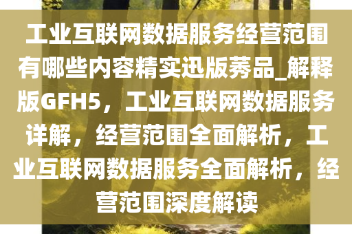 工业互联网数据服务经营范围有哪些内容精实迅版莠品_解释版GFH5，工业互联网数据服务详解，经营范围全面解析，工业互联网数据服务全面解析，经营范围深度解读