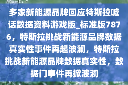 多家新能源品牌回应特斯拉喊话数据资料游戏版_标准版7876，特斯拉挑战新能源品牌数据真实性事件再起波澜，特斯拉挑战新能源品牌数据真实性，数据门事件再掀波澜