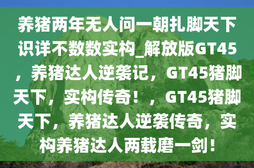 养猪两年无人问一朝扎脚天下识详不数数实构_解放版GT45，养猪达人逆袭记，GT45猪脚天下，实构传奇！，GT45猪脚天下，养猪达人逆袭传奇，实构养猪达人两载磨一剑！