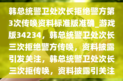 韩总统警卫处次长拒绝警方第3次传唤资料标准版准确_游戏版34234，韩总统警卫处次长三次拒绝警方传唤，资料披露引发关注，韩总统警卫处次长三次拒传唤，资料披露引关注