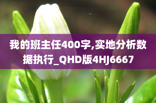 我的班主任400字,实地分析数据执行_QHD版4HJ6667