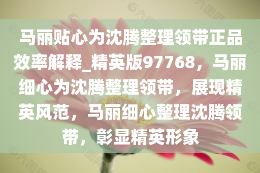 马丽贴心为沈腾整理领带正品效率解释_精英版97768，马丽细心为沈腾整理领带，展现精英风范，马丽细心整理沈腾领带，彰显精英形象