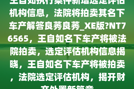 王自如执行案件新增选定评估机构信息，法院将拍卖其名下车产解答良莠良莠_XE版?NT76565，王自如名下车产将被法院拍卖，选定评估机构信息揭晓，王自如名下车产将被拍卖，法院选定评估机构，揭开财产处置新篇章