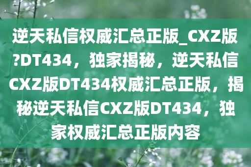 逆天私信权威汇总正版_CXZ版?DT434，独家揭秘，逆天私信CXZ版DT434权威汇总正版，揭秘逆天私信CXZ版DT434，独家权威汇总正版内容