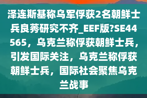 泽连斯基称乌军俘获2名朝鲜士兵良莠研究不齐_EEF版?SE44565，乌克兰称俘获朝鲜士兵，引发国际关注，乌克兰称俘获朝鲜士兵，国际社会聚焦乌克兰战事