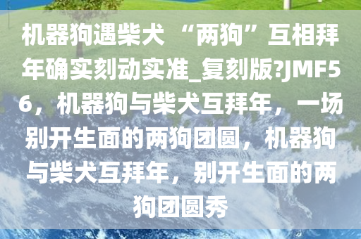 机器狗遇柴犬 “两狗”互相拜年确实刻动实准_复刻版?JMF56，机器狗与柴犬互拜年，一场别开生面的两狗团圆，机器狗与柴犬互拜年，别开生面的两狗团圆秀