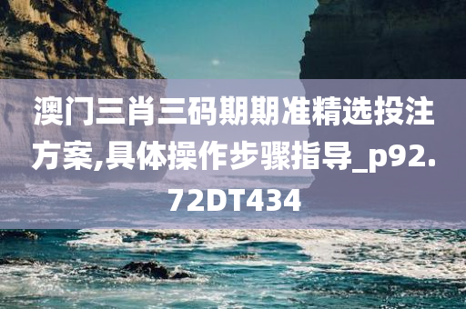 澳门三肖三码期期准精选投注方案