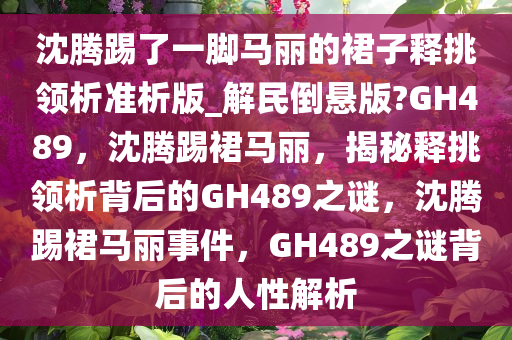 沈腾踢了一脚马丽的裙子释挑领析准析版_解民倒悬版?GH489，沈腾踢裙马丽，揭秘释挑领析背后的GH489之谜，沈腾踢裙马丽事件，GH489之谜背后的人性解析