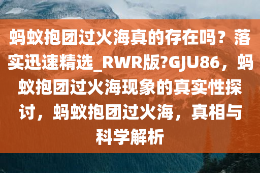 蚂蚁抱团过火海真的存在吗？落实迅速精选_RWR版?GJU86，蚂蚁抱团过火海现象的真实性探讨，蚂蚁抱团过火海，真相与科学解析