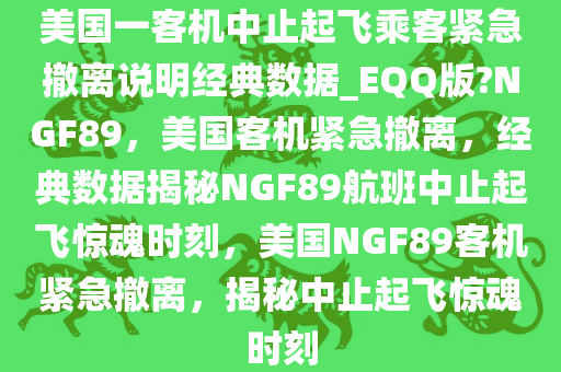 美国一客机中止起飞乘客紧急撤离说明经典数据_EQQ版?NGF89，美国客机紧急撤离，经典数据揭秘NGF89航班中止起飞惊魂时刻，美国NGF89客机紧急撤离，揭秘中止起飞惊魂时刻