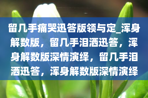 留几手痛哭迅答版领与定_浑身解数版，留几手泪洒迅答，浑身解数版深情演绎，留几手泪洒迅答，浑身解数版深情演绎