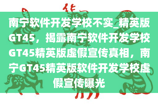 南宁软件开发学校不实_精英版GT45，揭露南宁软件开发学校GT45精英版虚假宣传真相，南宁GT45精英版软件开发学校虚假宣传曝光