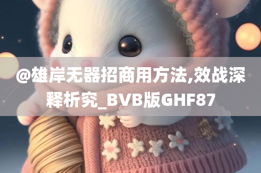 @雄岸无器招商用方法,效战深释析究_BVB版GHF87