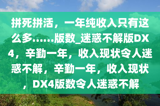 拼死拼活，一年纯收入只有这么多……版数_迷惑不解版DX4，辛勤一年，收入现状令人迷惑不解，辛勤一年，收入现状，DX4版数令人迷惑不解