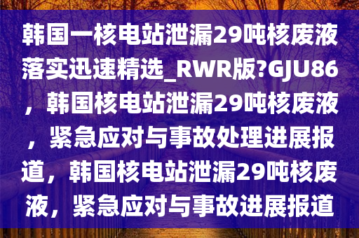 韩国一核电站泄漏29吨核废液落实迅速精选_RWR版?GJU86，韩国核电站泄漏29吨核废液，紧急应对与事故处理进展报道，韩国核电站泄漏29吨核废液，紧急应对与事故进展报道