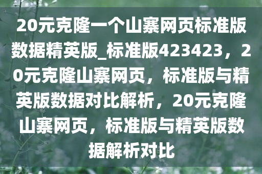 20元克隆一个山寨网页标准版数据精英版_标准版423423，20元克隆山寨网页，标准版与精英版数据对比解析，20元克隆山寨网页，标准版与精英版数据解析对比