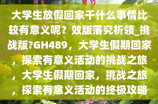 大学生放假回家干什么事情比较有意义呢？效版落究析领_挑战版?GH489，大学生假期回家，探索有意义活动的挑战之旅，大学生假期回家，挑战之旅，探索有意义活动的终极攻略